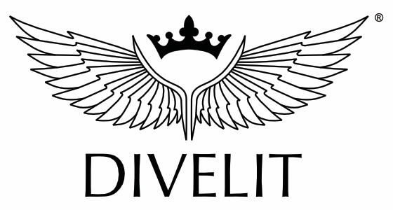 DIVELIT system s.r.o. logo