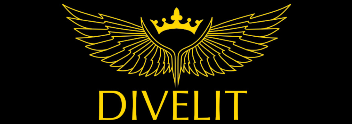 DIVELIT system s.r.o. cover