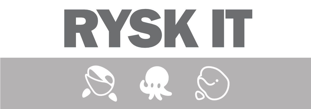 RYSK-IT BV cover