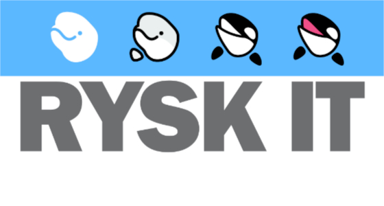 RYSK-IT BV logo