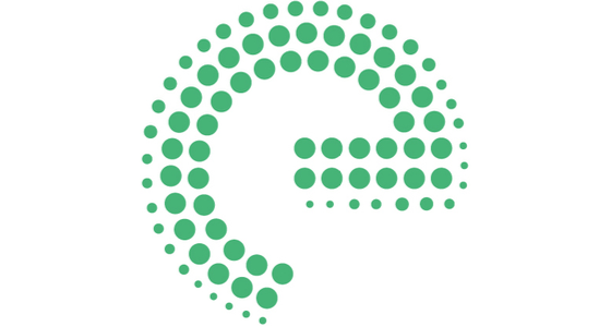 Enrian Partners logo
