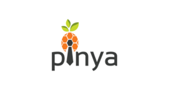 PINYA s.r.o. logo