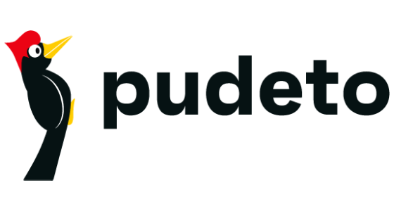 Pudeto