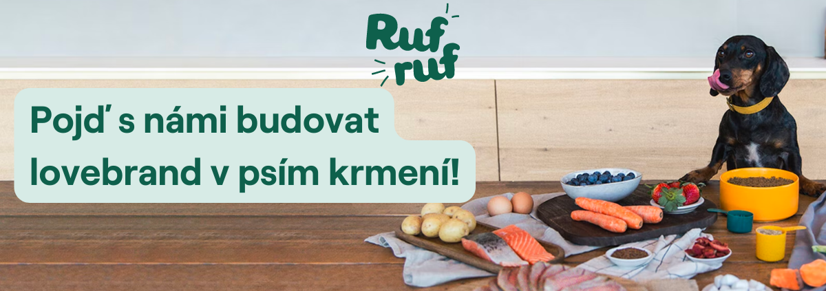 Rufruf s.r.o. cover
