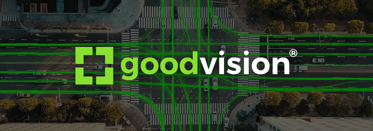 GoodVision Ltd. cover