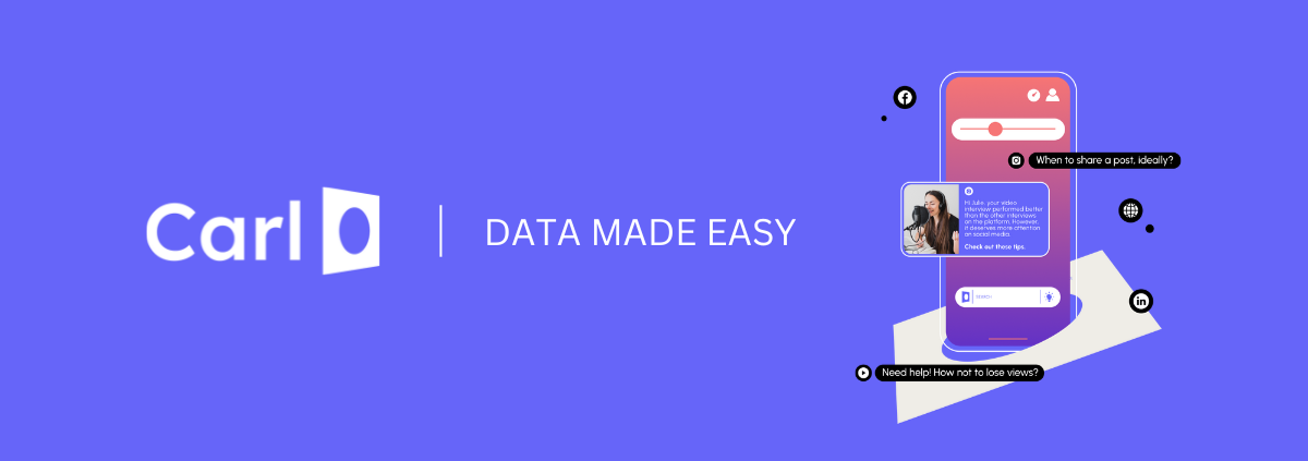 Carl Data Company cover
