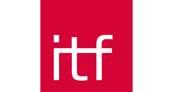 IT Frankfurt GmbH logo