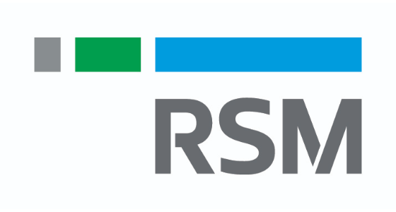 RSM Technology  CZ logo