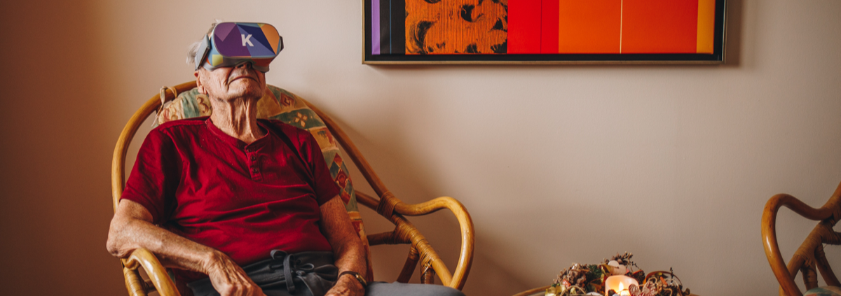 chaco kaleido katydid