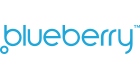 Blueberry Development logo