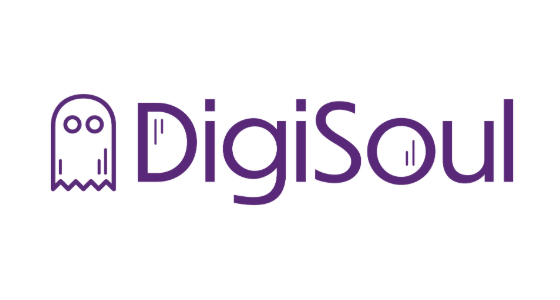 DigiSoul logo