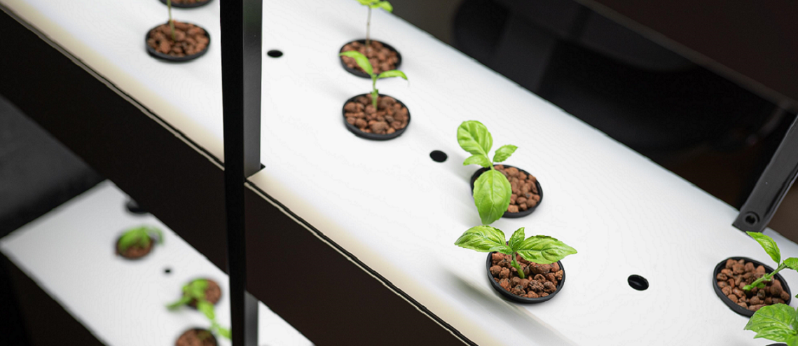 Firmy chtějí pěstovat bylinky či zeleninu. The Greenest Company vyvíjí speciální vertikální zahrady do kanceláří 