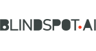 Blindspot Solutions logo