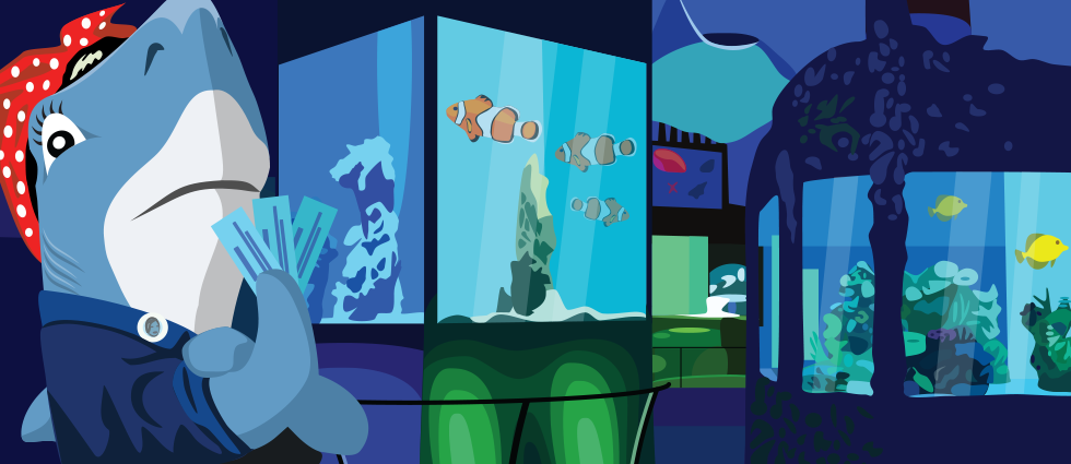 Soutěž o výlet do podmořského světa v rámci MDŽ (Mezinárodní den žraloků)!