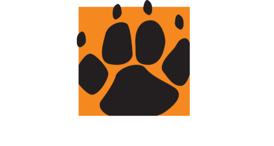 Bagira Tech s.r.o. logo