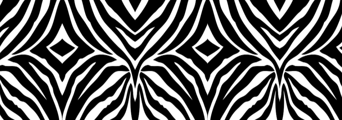 zebrabased s.r.o. cover