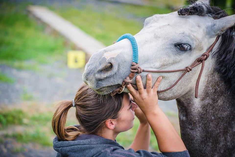 Věrka Vránová se koním věnuje od 15 let, do sebepoznání pomocí koní se pustila před 4 roky.